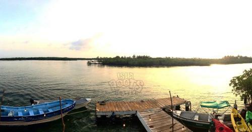 Isla Roots Hostel