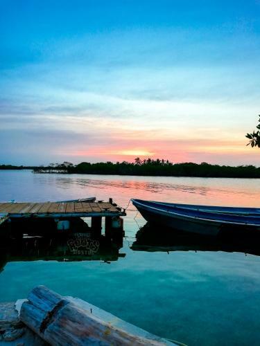 Isla Roots Hostel