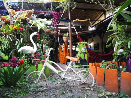 Agroturismo Hostal Campestre Samadhi