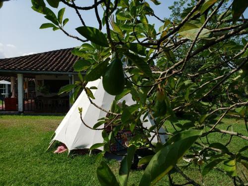 Ginebra Glamping