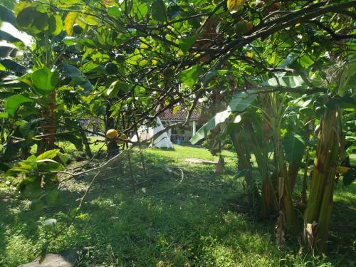 Ginebra Glamping