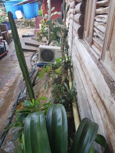 Hotel Caba�a Guainiana