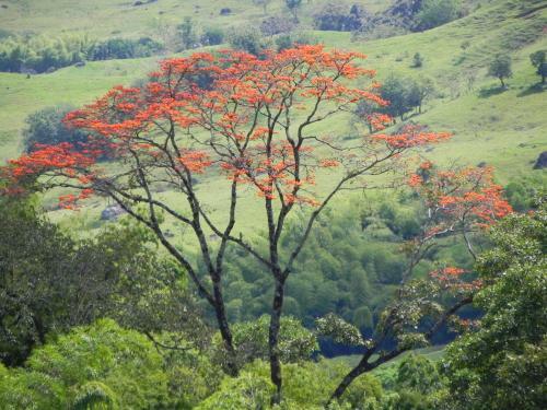 La Oculta Lodge
