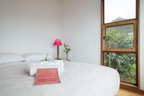 La Palma Y El Tucan Hotel
