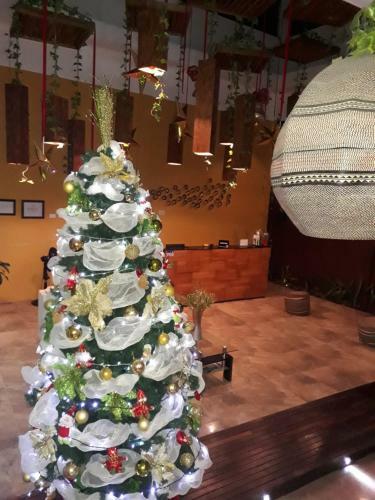 Hotel Plaza Manfortt