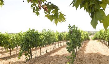 Hotel Rural Sa Torre De Santa Eug�nia