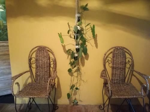 Asi Es Aqu� Hostel Guajira