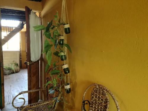 Asi Es Aqu� Hostel Guajira
