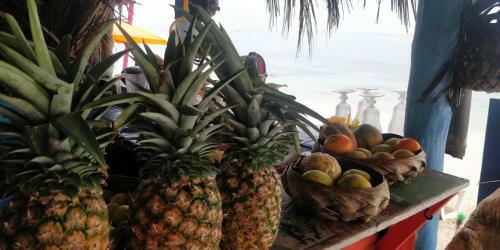 Hostal Vista Linda Caba�a
