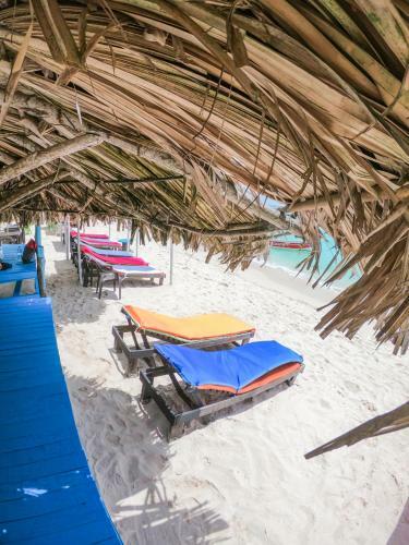 Hostal El Parche De Alex