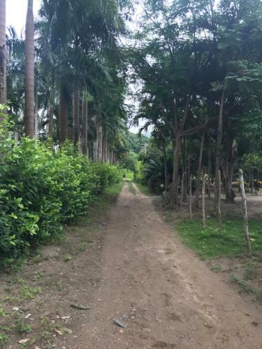 Agroturismo Amor De Dios