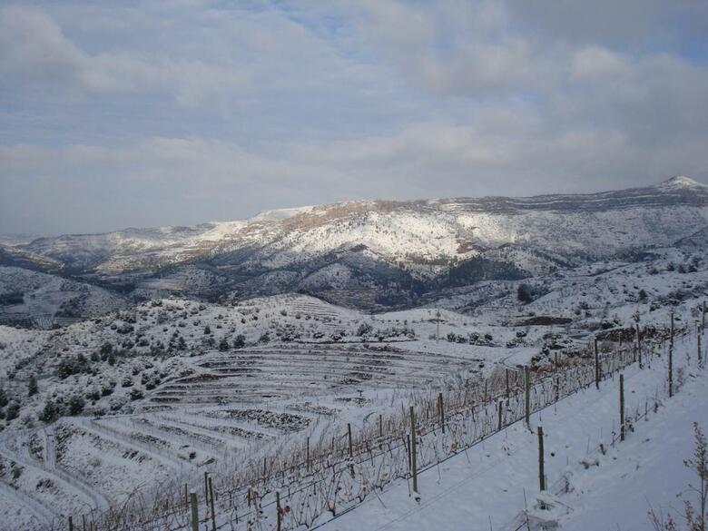 Hotel-celler Buil & Gine