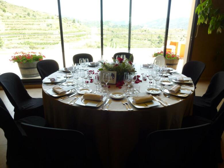 Hotel-celler Buil & Gine