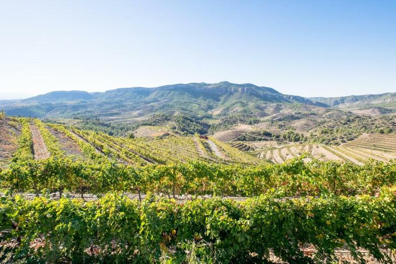 Hotel-celler Buil & Gine