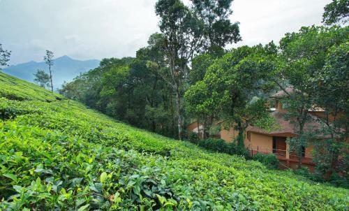 Hotel Vythiri Village