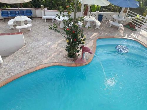 Hotel Villa Imperio