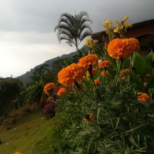 Posada Casa Cafe - Samaland