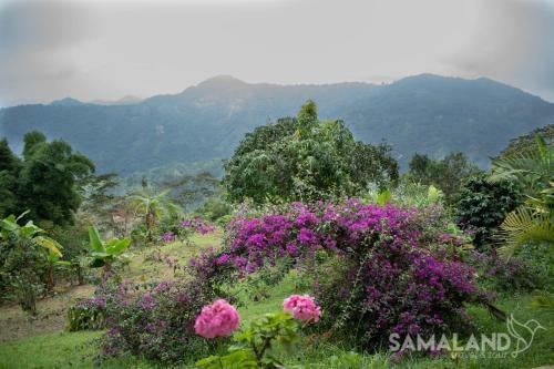 Posada Casa Cafe - Samaland