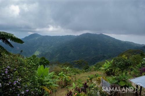 Posada Casa Cafe - Samaland