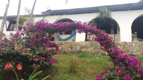Posada Casa Cafe - Samaland