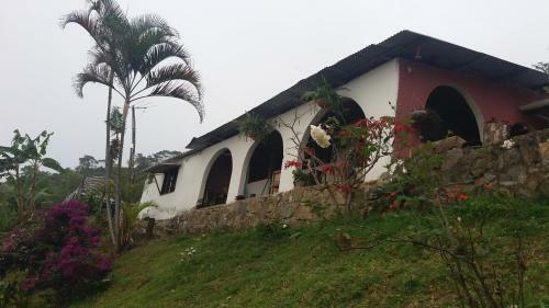 Posada Casa Cafe - Samaland