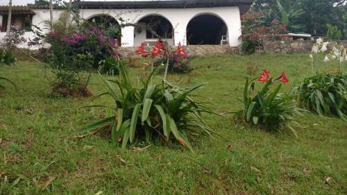 Posada Casa Cafe - Samaland