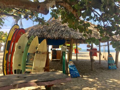 Hostal Mendihuaca Surf