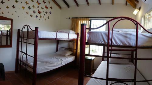 Apartamento Caba�as Ecotur�sticas Mi Terru�o Tayrona