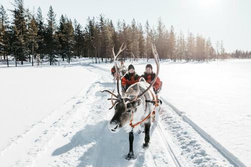 Lapland Hotels Bear�s Lodge