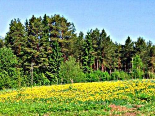 Holiday Home Elsam�kki