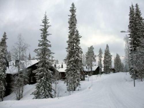 Holiday Home Karhunvartijan Kartano B6