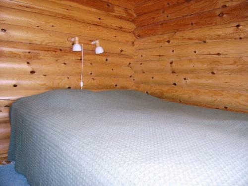 Holiday Home Mets�-pihlaja