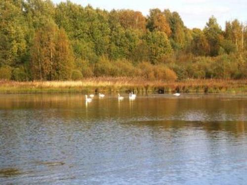 Holiday Home Vinnari