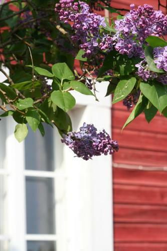 Bed & Breakfast Erkas G�rden