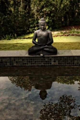 Hotel The Windflower Resort & Spa, Vythiri