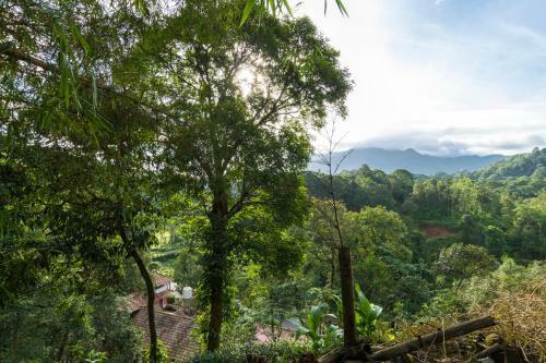 Hotel Upavan Resort
