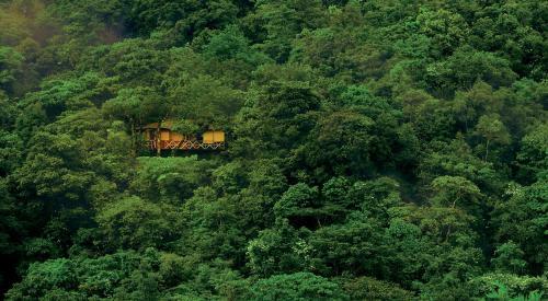 Hotel Vythiri Resort