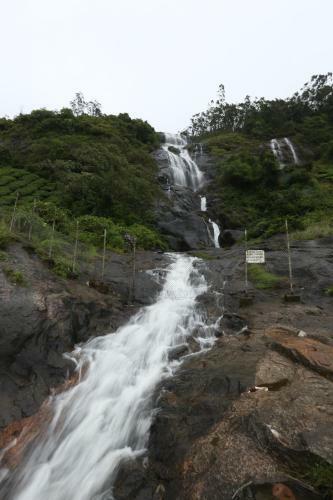 Hotel Spicetree Munnar