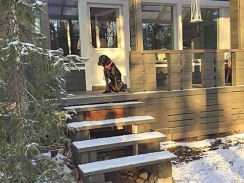 Holiday Home Petruska