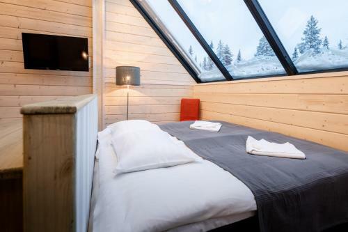 Hotel Pyh�n Asteli Aurora Igloos & Suites