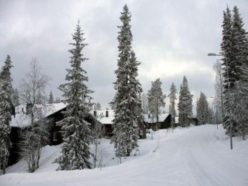 Holiday Home Karhunvartijan Kartano B6