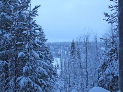 Holiday Home Saaruanpes� B