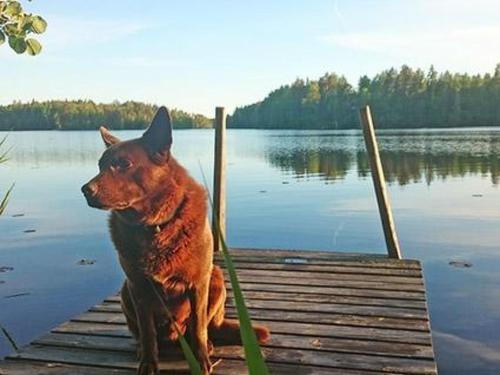 Holiday Home Kyt�ranta