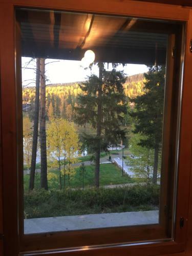 Hotel Paljakka M�kit