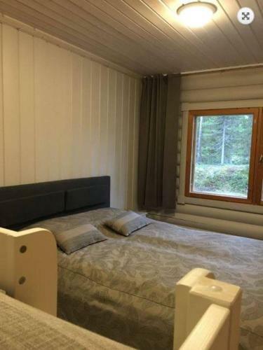 Hotel Paljakka M�kit