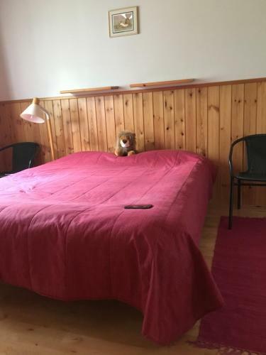 Hotel Paljakka M�kit