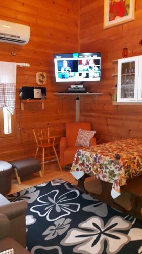 Hotel Paljakka M�kit