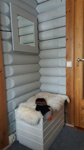Hotel Paljakka M�kit
