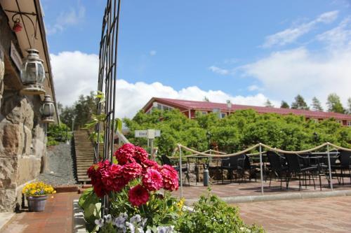 Hotel Woikoski Feeling - Whd G�rd