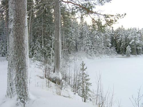 Holiday Home Villa Pajari